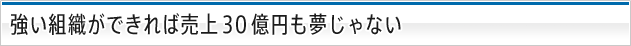 ３０億円も夢じゃない